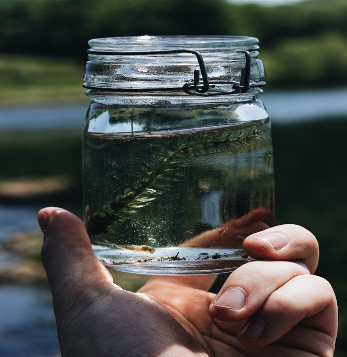 10 consejos para mantener el agua en tu hogar en buen estado