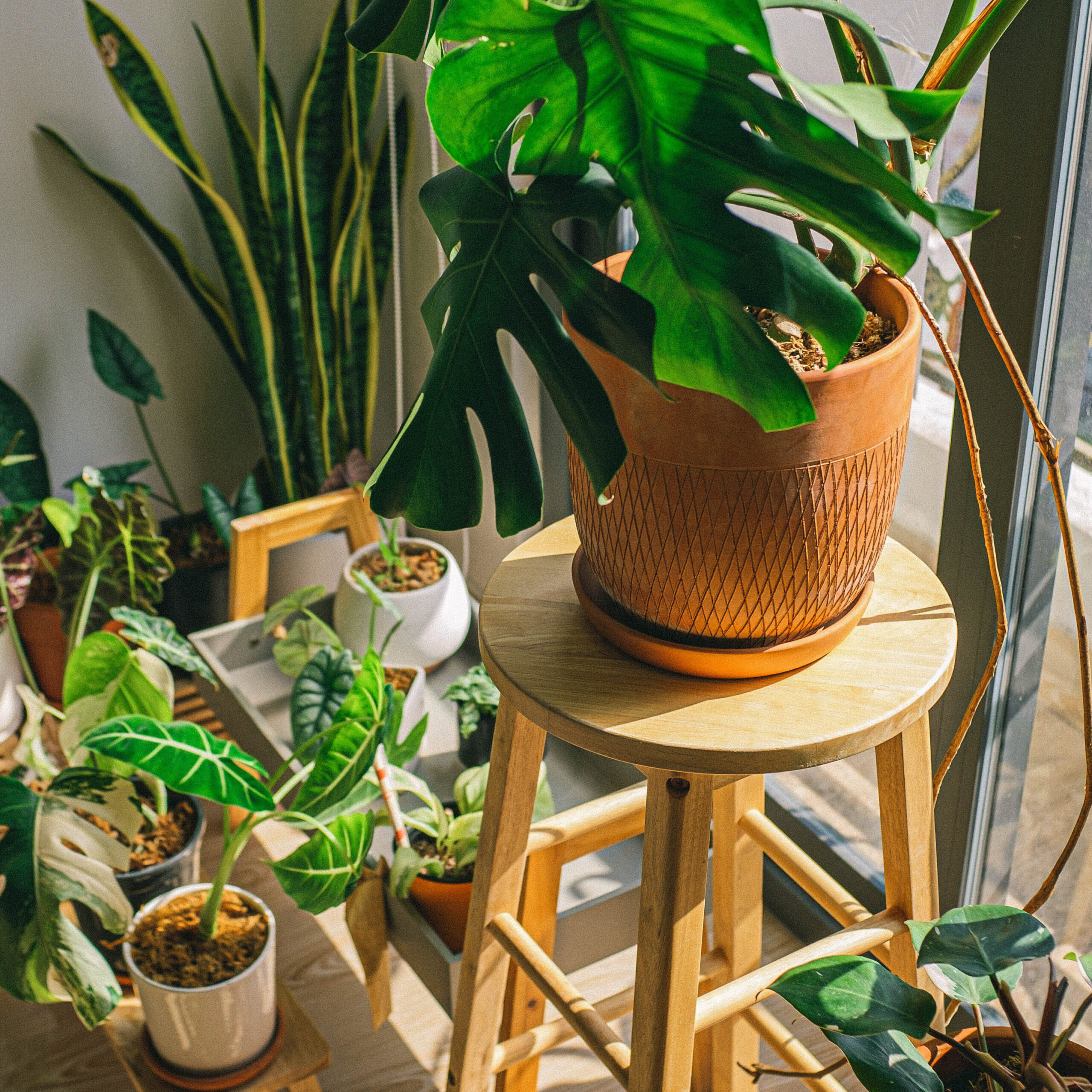 Adornos navideños para jardin con reciclaje