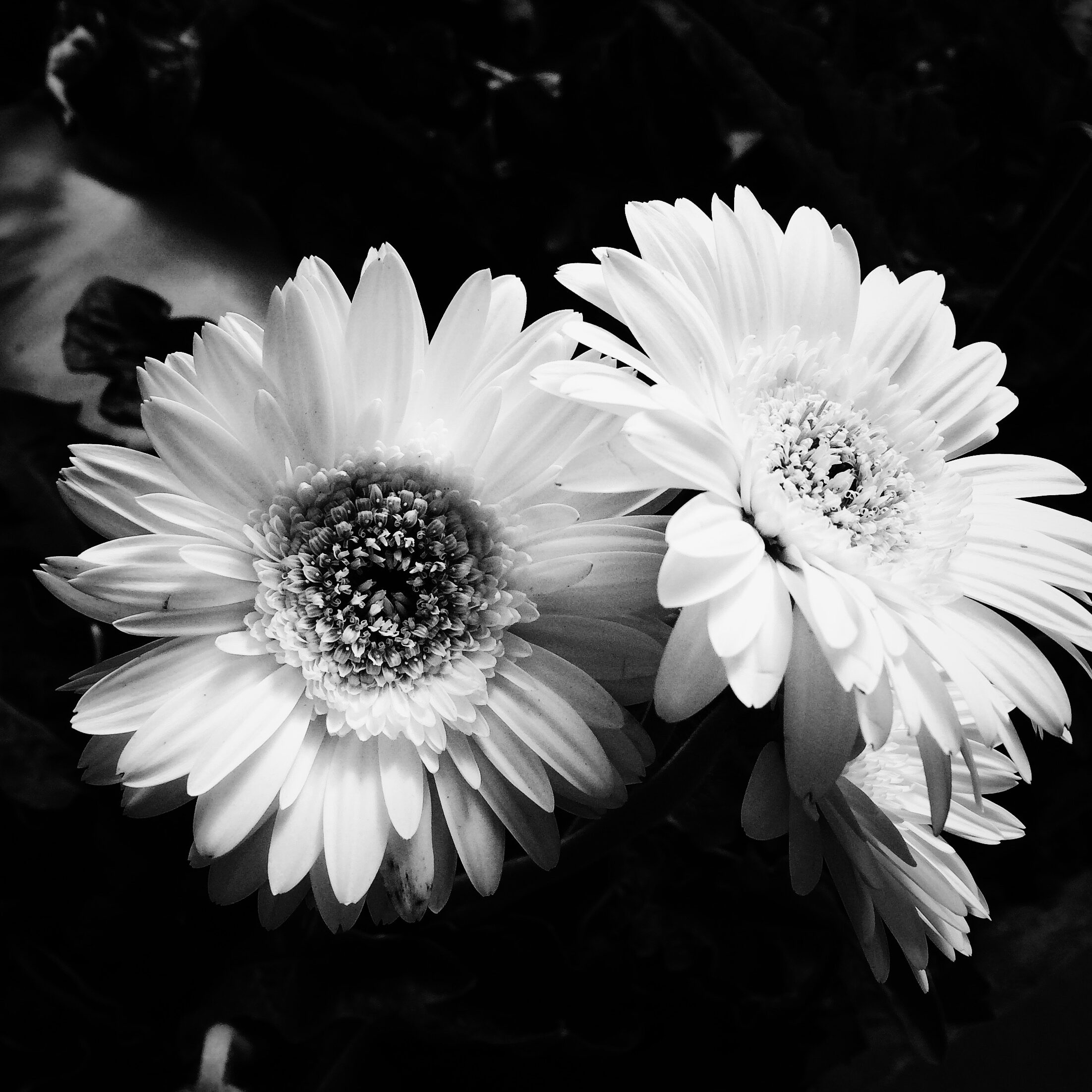 Colorea un hermoso jardín de niños – Dibujo para Colorear